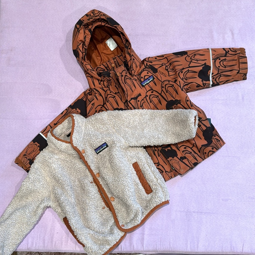 Patagonia Walrus 3 in 1 coat